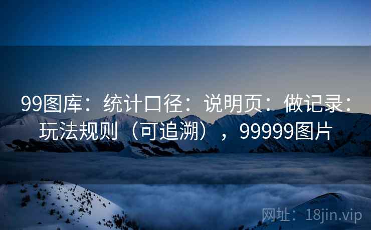99图库：统计口径：说明页：做记录：玩法规则（可追溯），99999图片